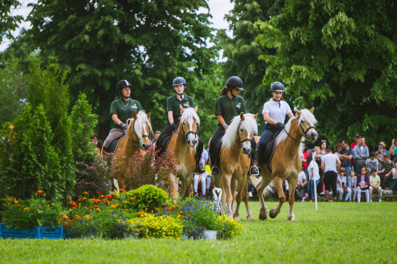 (P) Poneii “au preluat” frâiele celei de-a două ediții a Karpatia Pony Show 