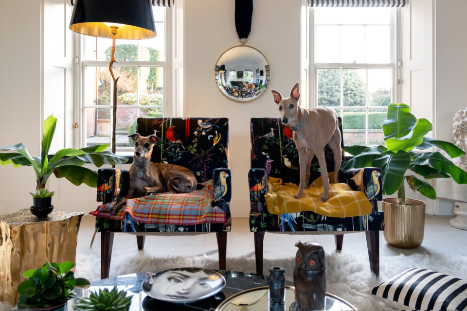 interior eclectic